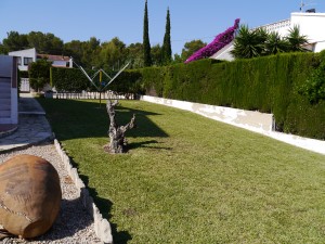 Side Garden